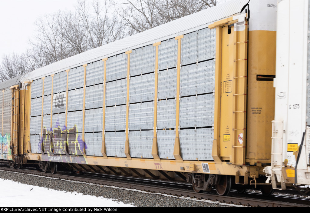 TTGX 975094